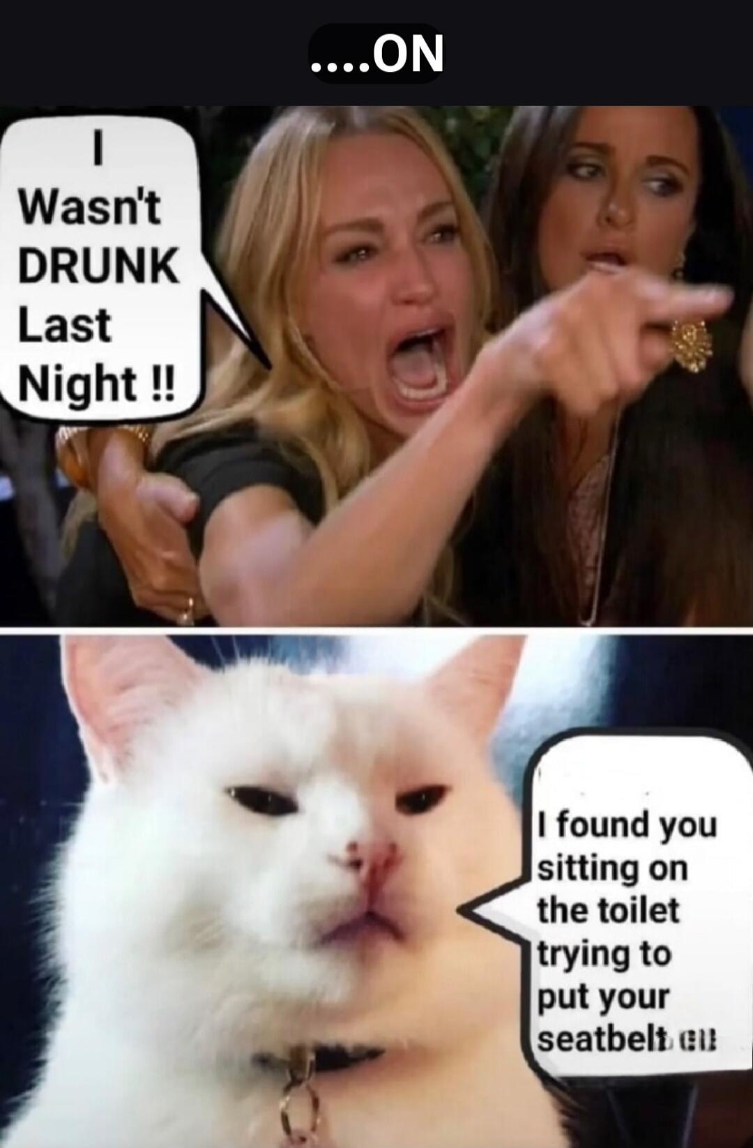 ....ON\nI wasn't DRUNK Last Night!!\nI found you sitting on the toilet trying to put your seatbelt on