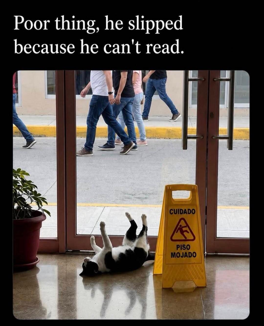 Poor thing, he slipped because he can't read. CUIDADO PISO MOJADO