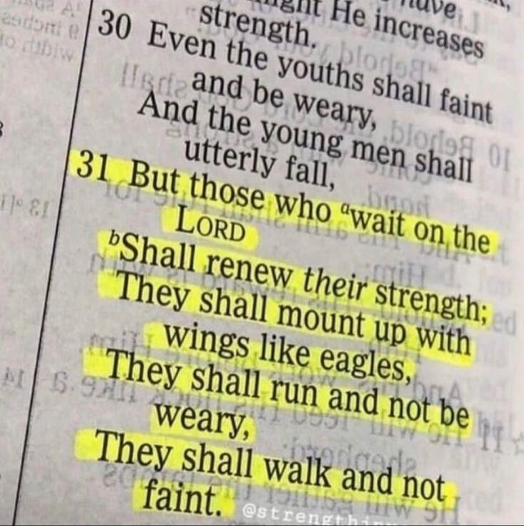 Even the youths shall faint and be weary, and the young men shall utterly fall, but those who wait on the LORD shall renew their strength; they shall mount up with wings like eagles, they shall run and not be weary, they shall walk and not faint.