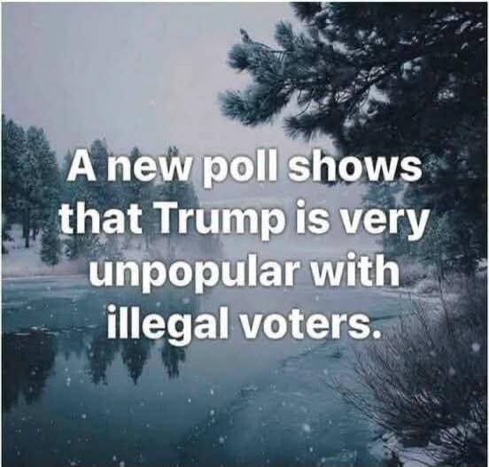 A new poll shows that Trump is very unpopular with illegal voters.