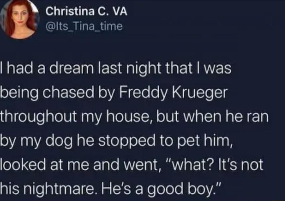 Christina C VA R lts Tina_time RECEYeCEMIEN Rl naGERES ofTlaTefelat ETe J oIV S To o YA VICTe T throughout my house but when he ran by my dog he stopped to pet him looked at me and went what Its not his nightmare Hes a good boy