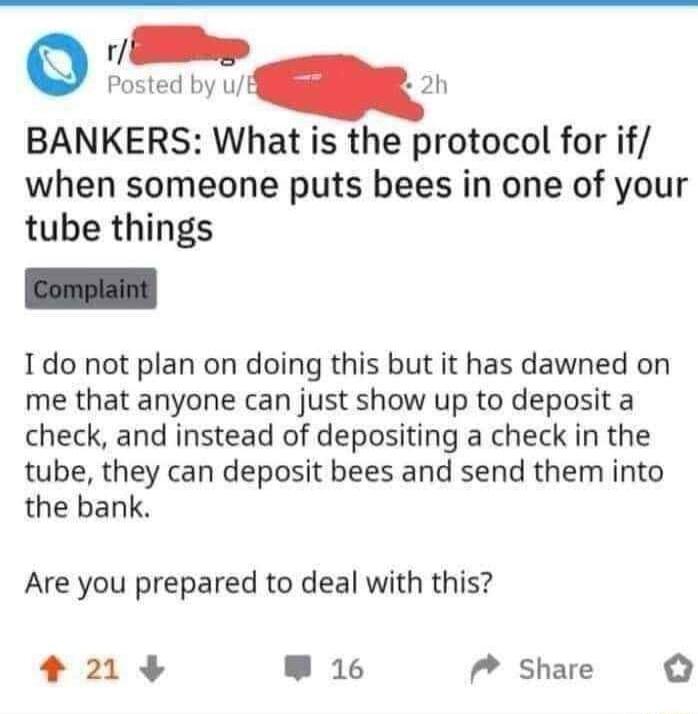 o v R Posted by u kL 2h BANKERS What is the protocol for if when someone puts bees in one of your tube things 1 do not plan on doing this but it has dawned on me that anyone can just show up to deposit a check and instead of depositing a check in the tube they can deposit bees and send them into the bank Are you prepared to deal with this 21 3 w16 Share