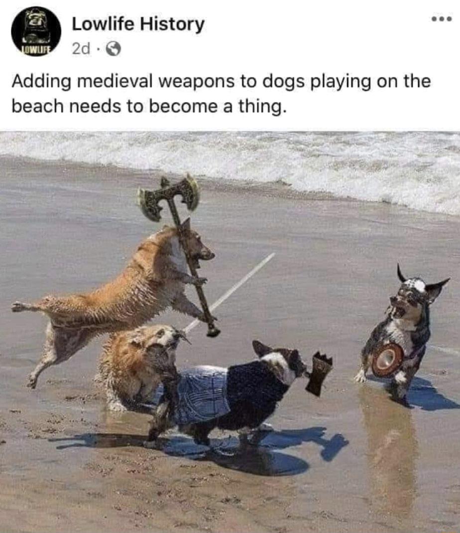 Q Lowlife History 2d Q Adding medieval weapons to dogs playing on the beach needs to become a thing