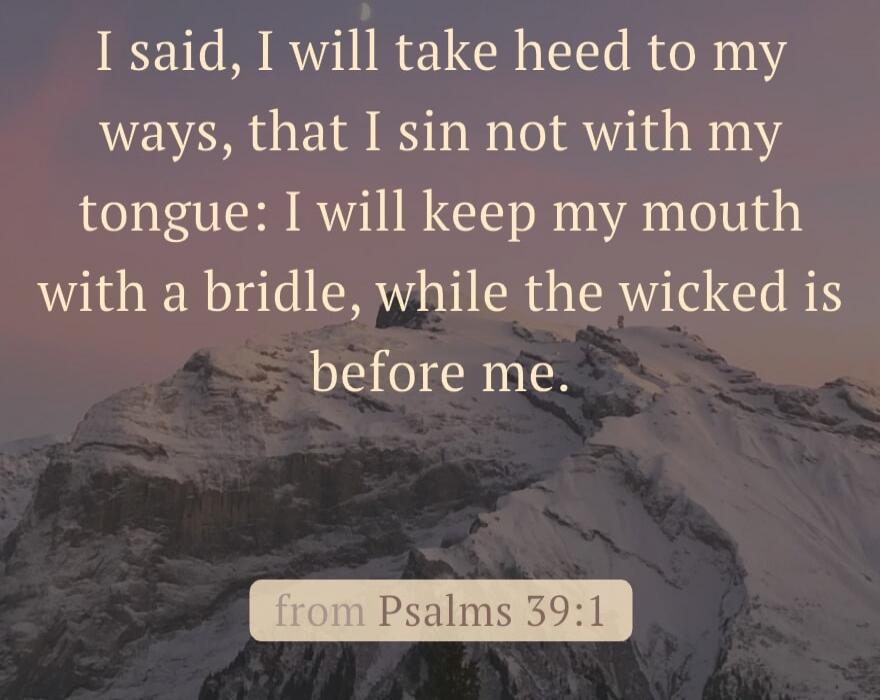 I said, I will take heed to my ways, that I sin not with my tongue: I will keep my mouth with a bridle, while the wicked is before me.
from Psalms 39:1