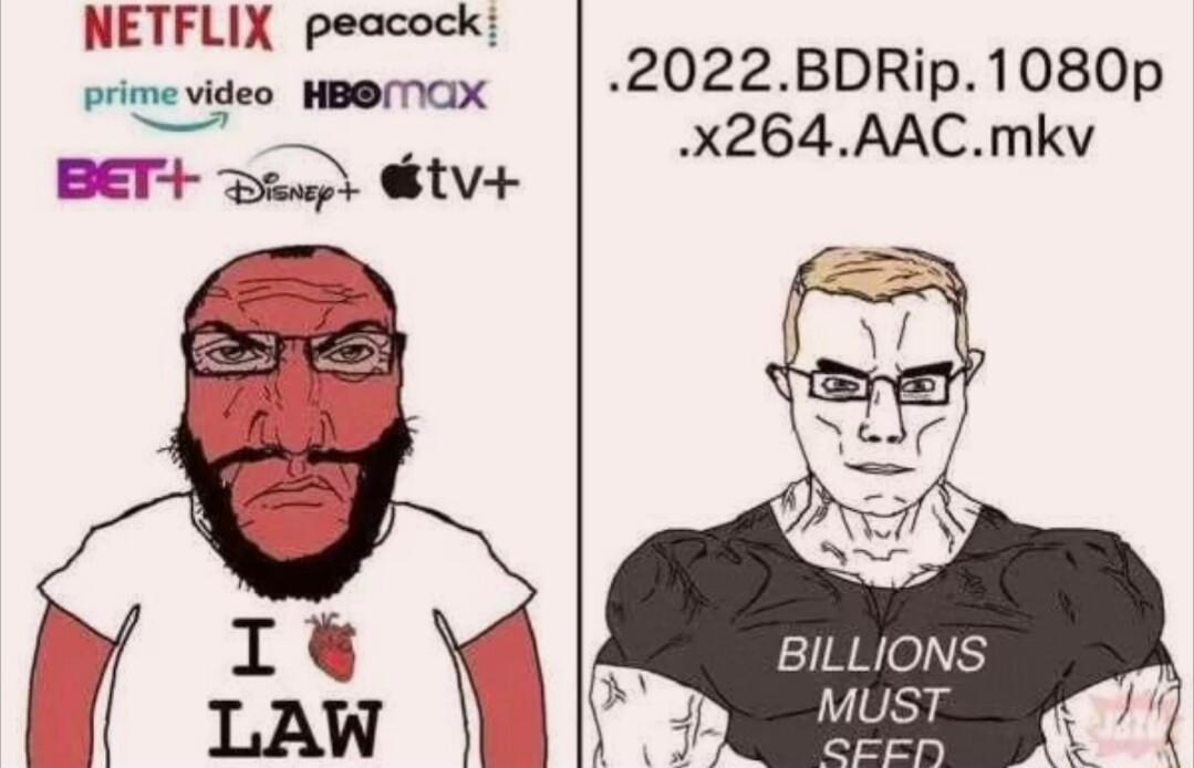 NETFLIX peacock mmf womax 2022BDRip1080p v BETH D Stv4 x264AACmkv e bt 1 o BILLIONS MUST