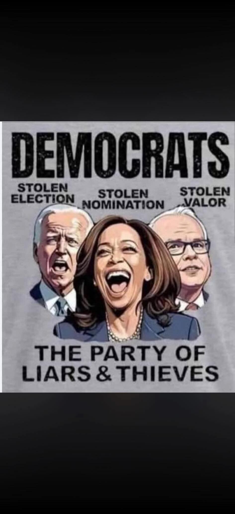 DEMOCRATS
STOLEN ELECTION
STOLEN NOMINATION
STOLEN VALOR
THE PARTY OF LIARS & THIEVES