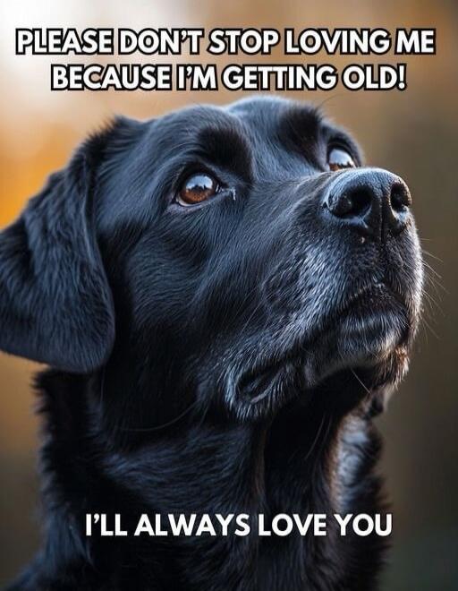 PLEASE DON'T STOP LOVING ME BECAUSE I'M GETTING OLD! I'LL ALWAYS LOVE YOU