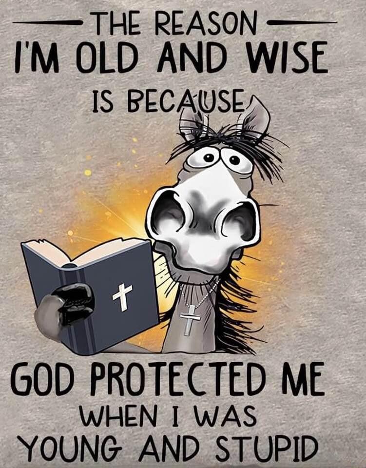 THE REASON IM OLD AND WISE GOD PROTECTED ME WHEN 1 WAS YOUNG AND STUPID