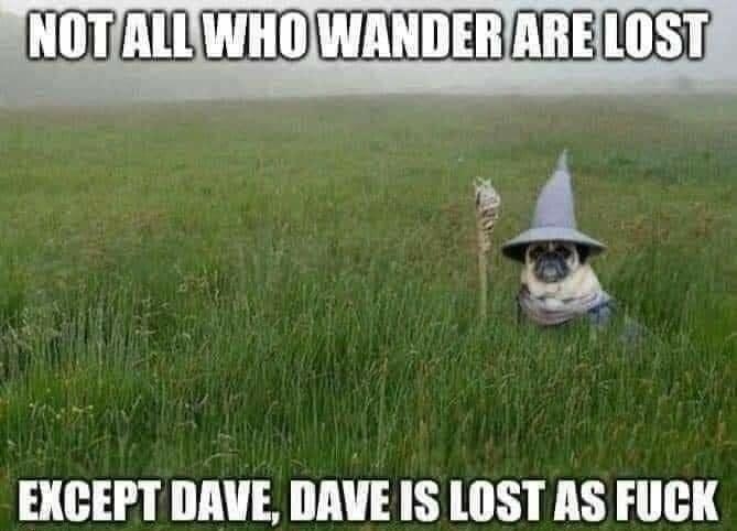 NOTALLWHOWANDERARELOST 15 EXCEPT DAVE DAVE IS LOST AS FUCK