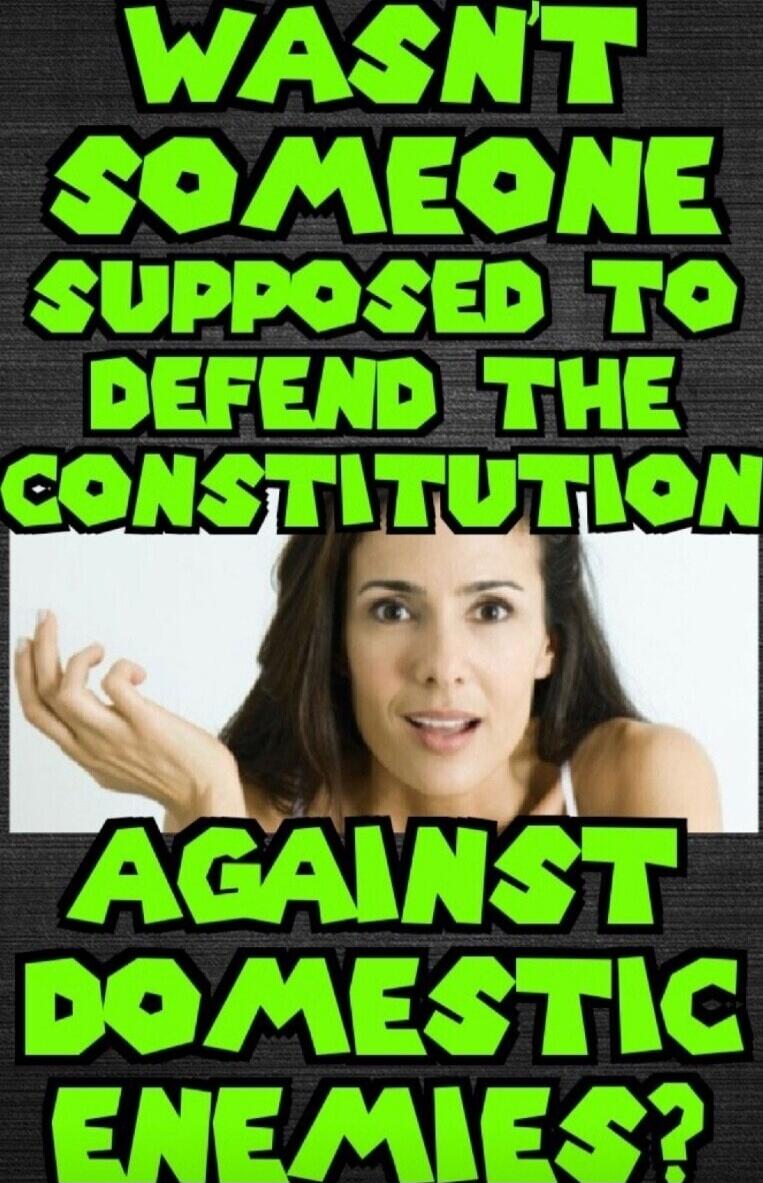 WASN'T SOMEONE SUPPOSED TO DEFEND THE CONSTITUTION AGAINST DOMESTIC ENEMIES?
