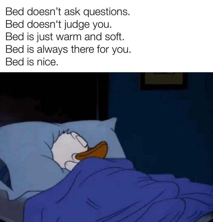 Bed doesnt ask questions Bed doesnt judge you is just warm and soft Bed is always there for you Bed is nice made THEN SRR