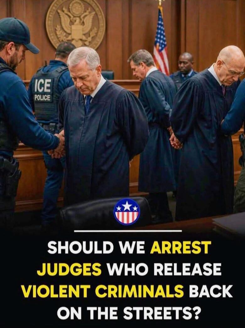 ICE POLICE SHOULD WE ARREST JUDGES WHO RELEASE VIOLENT CRIMINALS BACK ON THE STREETS?