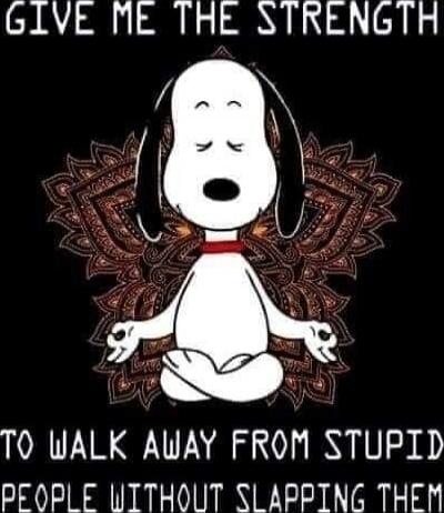 GIVE ME THE STRENGTH
TO WALK AWAY FROM STUPID
PEOPLE WITHOUT SLAPPING THEM