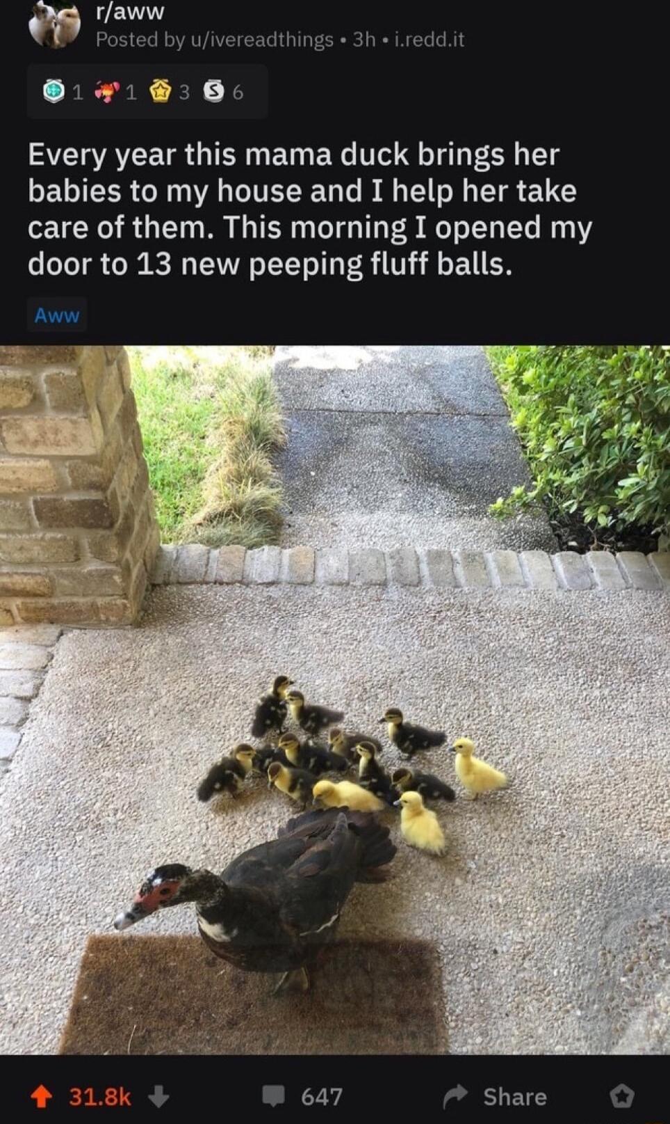 O L vereadivings 3h e 1900 A ACER GICE N ET E R T Q 50 T babies to my house and I help her take EIERO RGN RGN TG T S R D T oToTR o e LV YY o 1T R UV o 1L Aww 647 Share