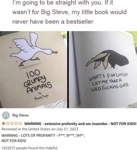 Im going to be straight with you If it wasnt for Big Steve my little book would never have been a bestseller 010 WARNING extensive profanity and sex inuendos NOT FOR KIDS Reviewed i the United States on July 31 2023 WARNING LOTS OF PROFANITY F B SH NOT FOR KIDS 1453272 people found this helpful