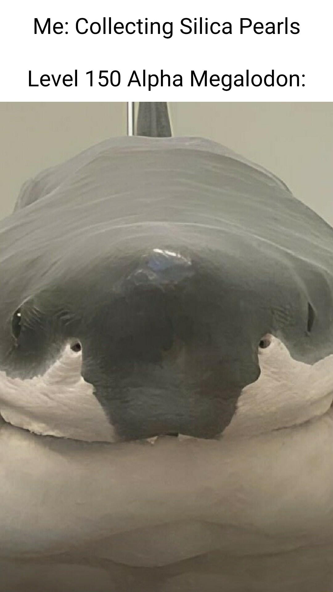 Me Collecting Silica Pearls Level 150 Alpha Megalodon