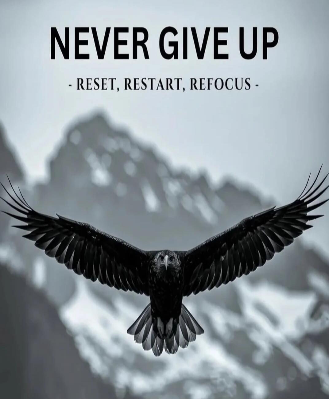 NEVER GIVE UP
- RESET, RESTART, REFOCUS -