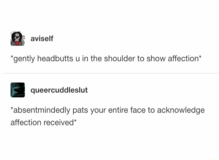 8 aviserr gently headbutts u in the shoulder to show affection queercuddiesiut absentmindedly pats your entire face to acknowledge affection received