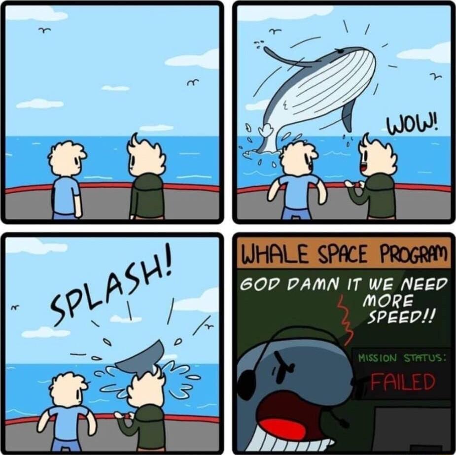 60P PAMN IT WE NEED led SPeep