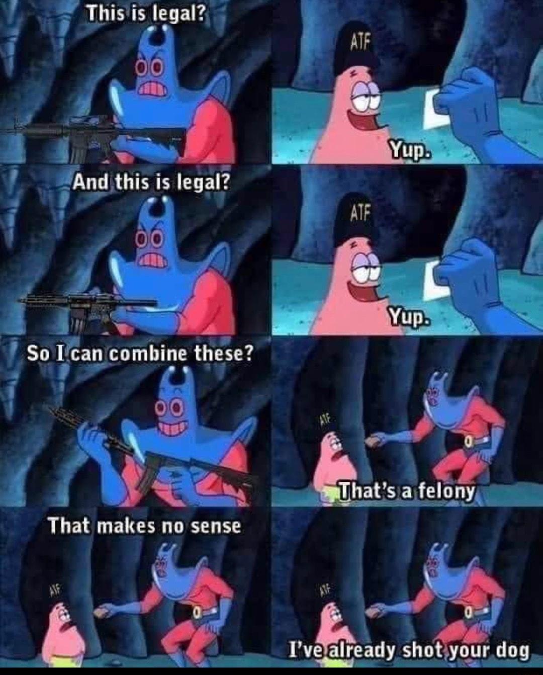 LB Iagal Bk Ami this is legal hafsa felony m S Inndy shot your dog