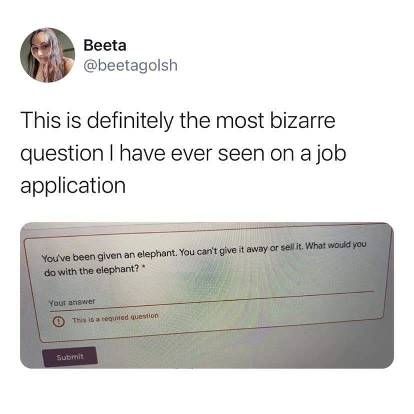 Beeta beetagolsh This is definitely the most bizarre question have ever seen on a job application