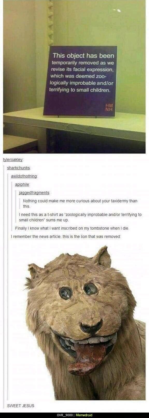 This object has been temporarily removed as we revise its facial expression which was deemed 200 ogically improbable andor terrifying to small children sharkshunks awidomotning apiphie ediragment Nothing could make me more curious about your taxidermy than this robable andor terriying to small children sums me up Finally know what want inscribed on my tombstone when die 1 remember the news article