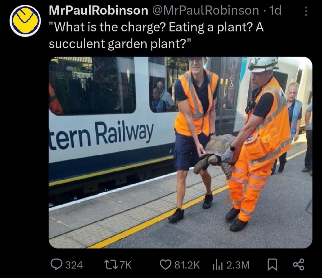 MrPaulRobinson V rPaulRobinson 1d What is the charge Eating a plant A succulent garden plant Q324 W7k Osi2k i2am