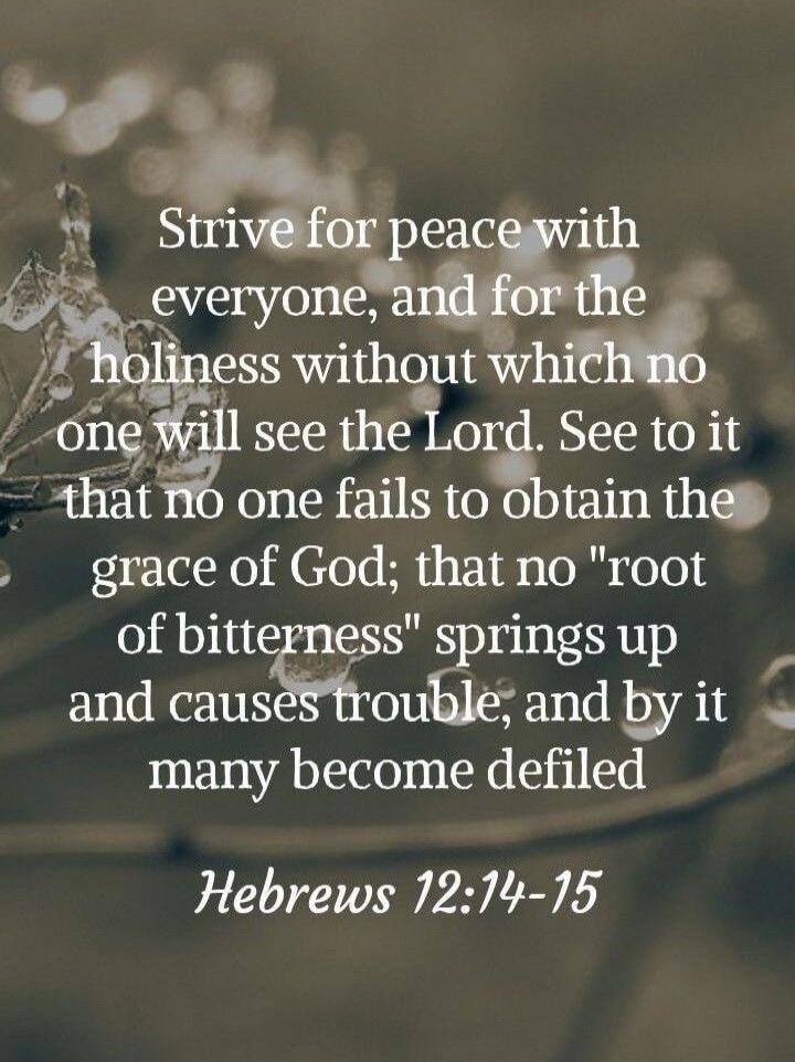 Strive for peace with everyone, and for the holiness without which no one will see the Lord. See to it that no one fails to obtain the grace of God; that no 