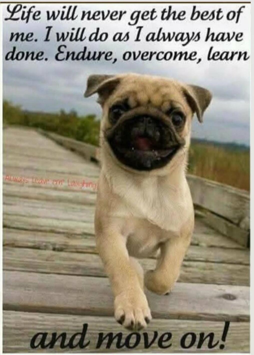 Life will never get the best of me. I will do as I always have done. Endure, overcome, learn and move on!