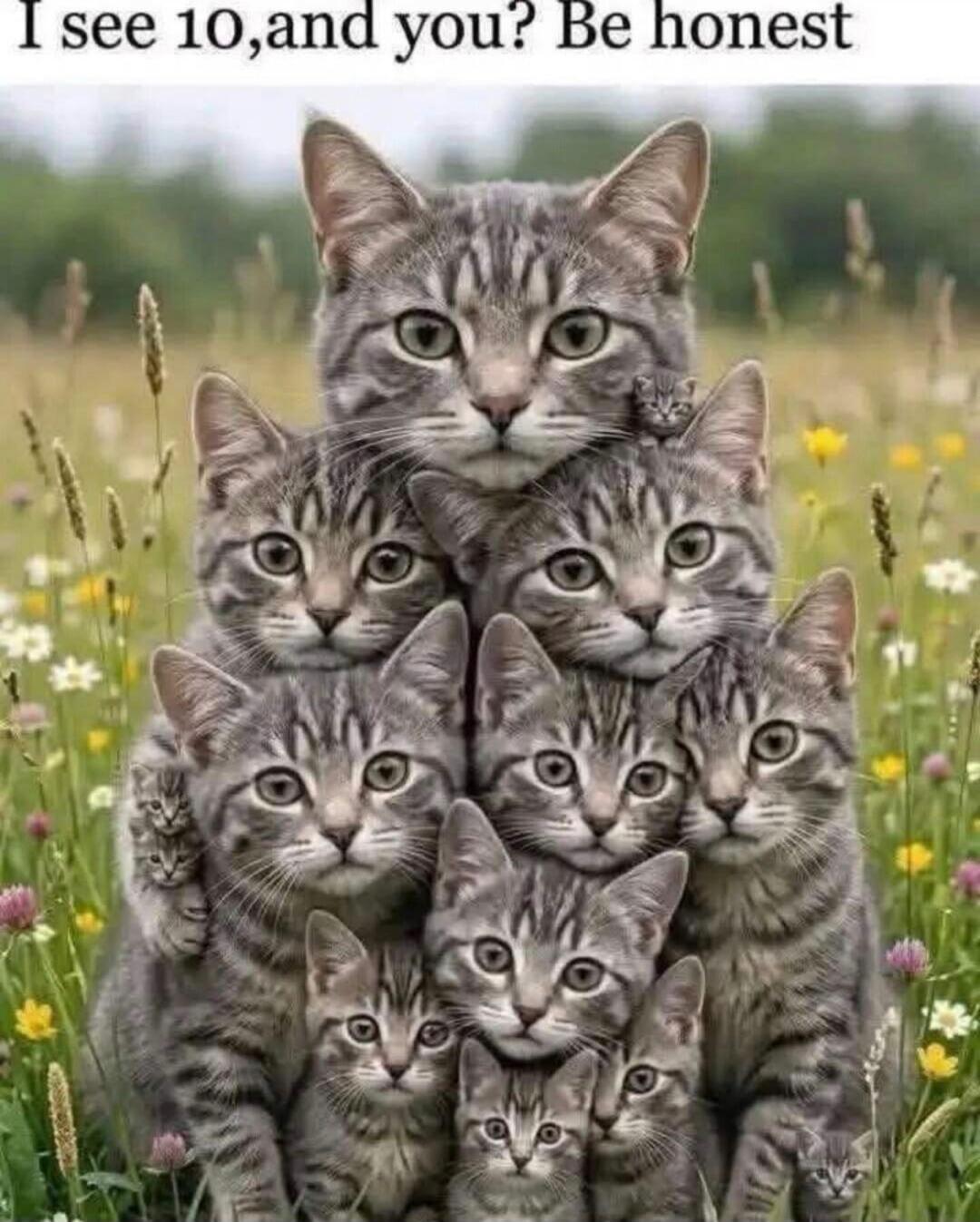 I see 10, and you? Be honest
