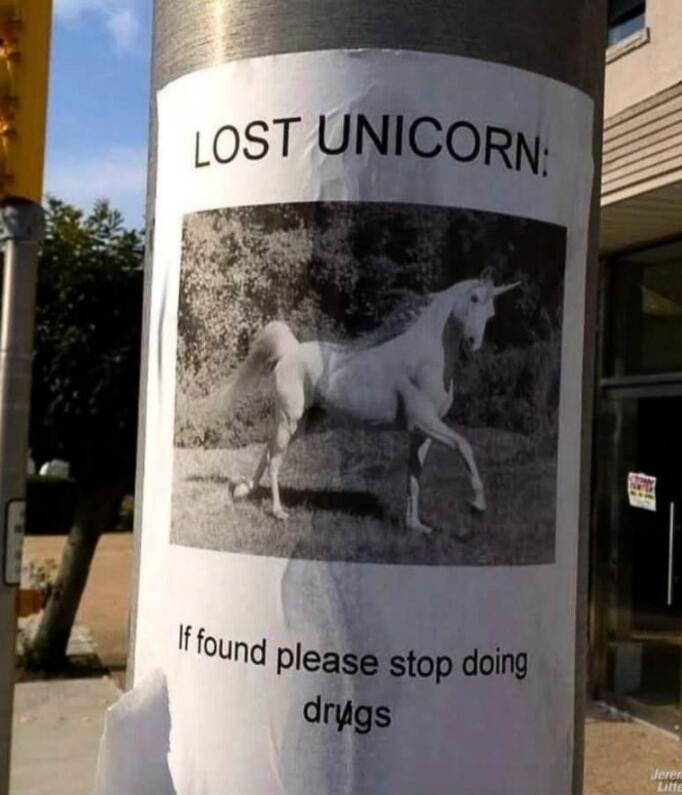 LOST UNICORN: If found please stop doing drugs