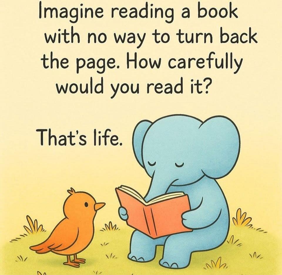 Imagine reading a book with no way to turn back the page. How carefully would you read it? That's life.