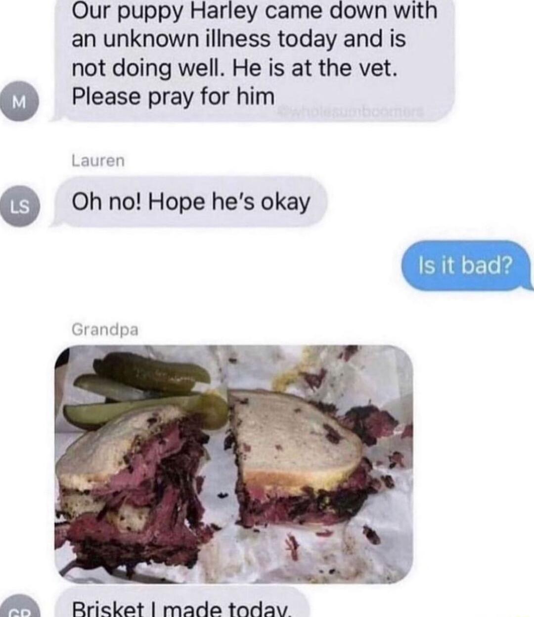 Our puppy Harley came down with an unknown iliness today and is not doing well He is at the vet o Please pray for him e Oh no Hope hes okay M Bitalitirearts tadii