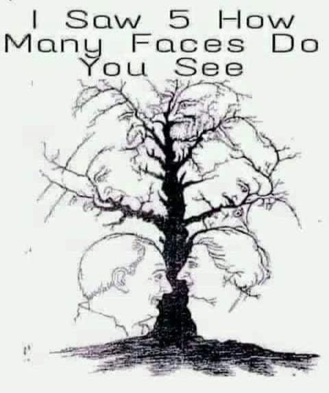 I Saw 5 How Many Faces Do You See