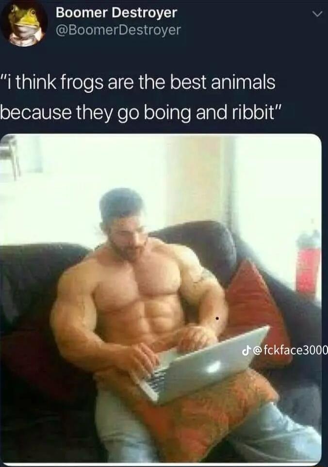 Boomer Destroyer Aj BoomerDestroyer g i think frogs are the best animals because they go boing and ribbit Al 9 e fckface3000 N h q