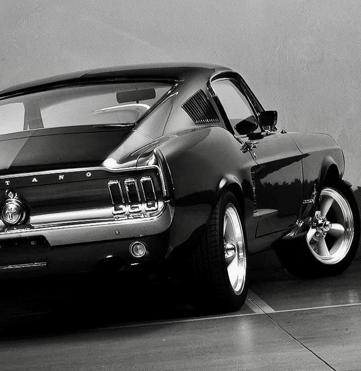 MUSTANG