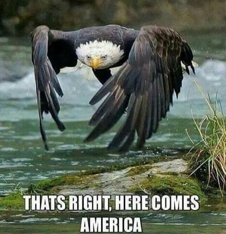 THATS RIGHT, HERE COMES AMERICA