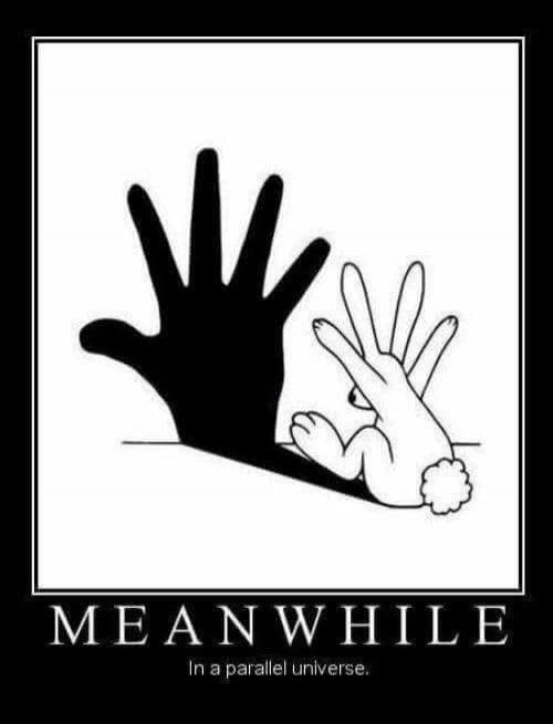 MEANWHILE In a parallel universe.