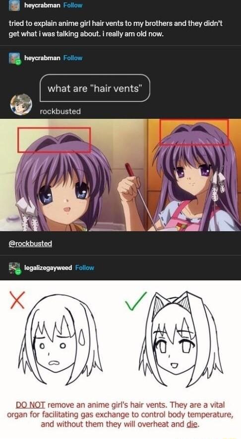 18 heycrabman Follow tried to explain anime girl hair vents to my brothers and they didnt get what i was talking about really am old now B heycrabman Foilcw l what are hair vents Vj rockbusted rockbusted logalizagayweed Follow DO NOT remove an anime girls hair vents They are a vital organ for facilitating gas exchange to control body temperature and without them they will overheat and die