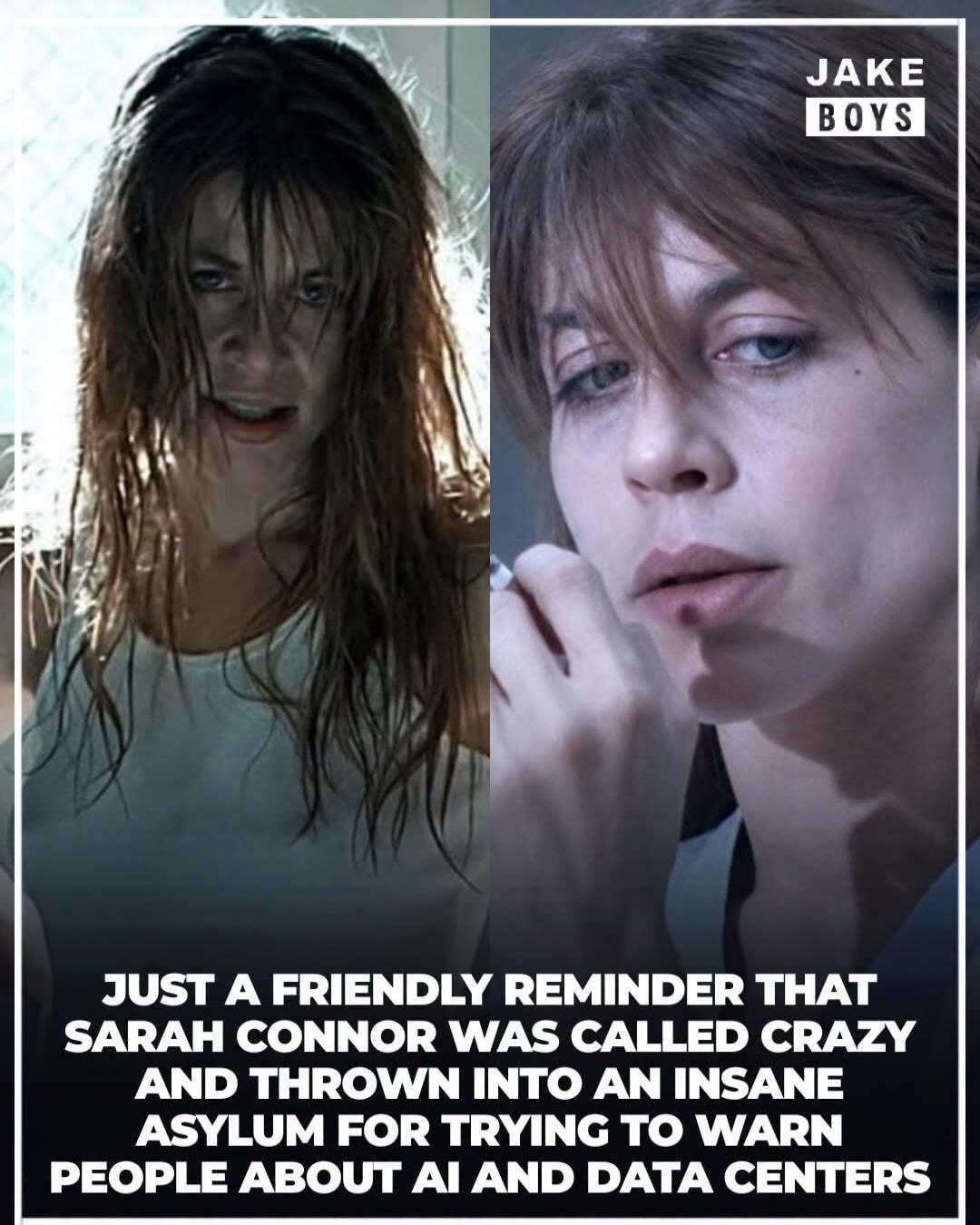 JAKE BOYS JUST A FRIENDLY REMINDER THAT SARAH CONNOR WAS CALLED CRAZY AND THROWN INTO AN INSANE ASYLUM FOR TRYING TO WARN PEOPLE ABOUT AI AND DATA CENTERS