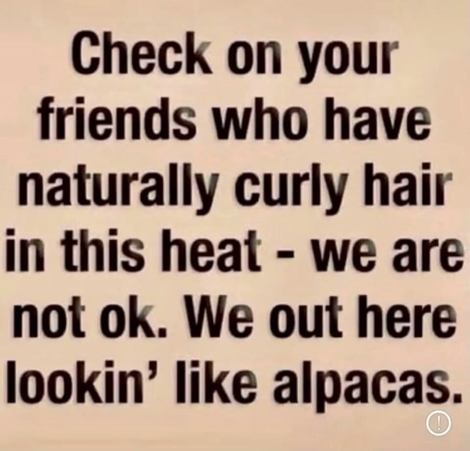 Check on your friends who have naturally curly hair in this heat - we are not ok. We out here lookin' like alpacas.