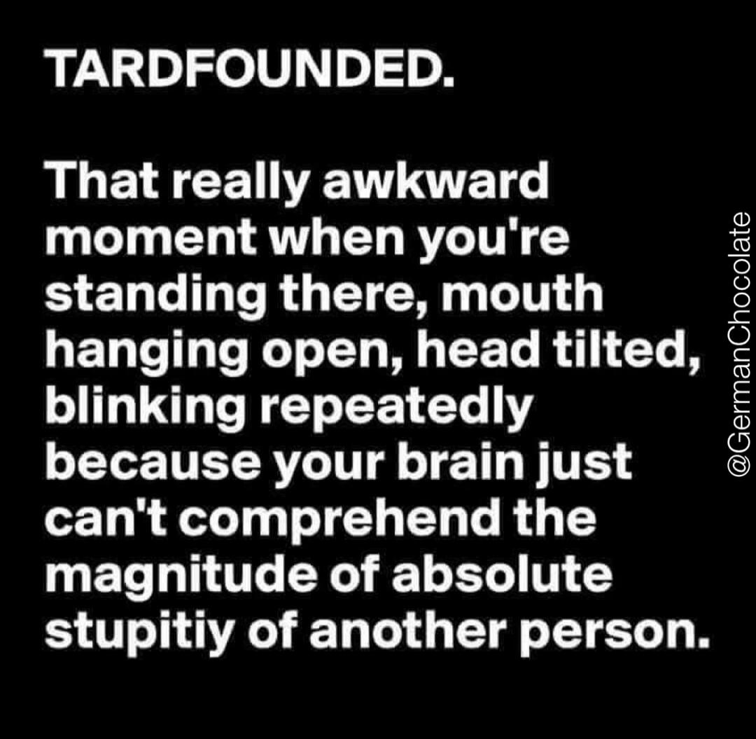 TARD FOUNDED. That really awkward moment when you're standing there, mouth hanging open, head tilted, blinking repeatedly because your brain just can't comprehend the magnitude of absolute stupidity of another person. @GermanChocolate
