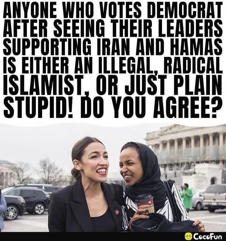 ANYONE WHO VOTES DEMOCRAT AFTER SEEING THEIR LEADERS SUPPORTING IRAN AND HAMAS IS EITHER AN ILLEGAL, RADICAL ISLAMIST, OR JUST PLAIN STUPID! DO YOU AGREE?