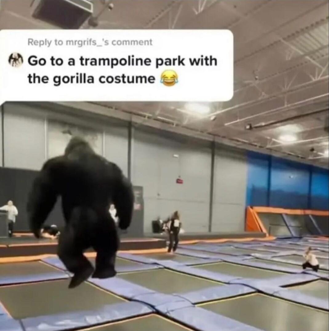 Go to a trampoline park with v the gorilla costume