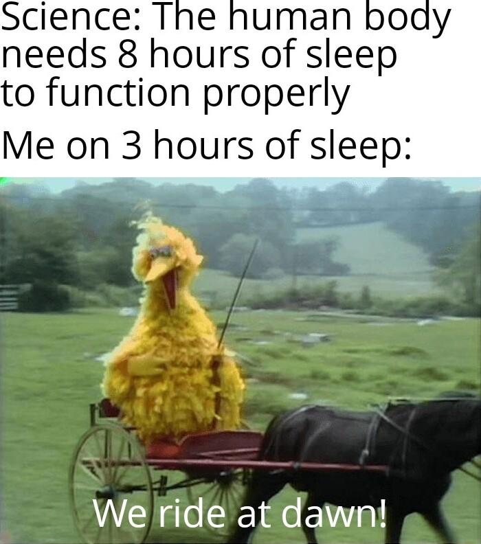 Science The human boay needs 8 hours of sleep o function properly Me on 3 hours of sleep 5 Wi 3 L We ride at dawn