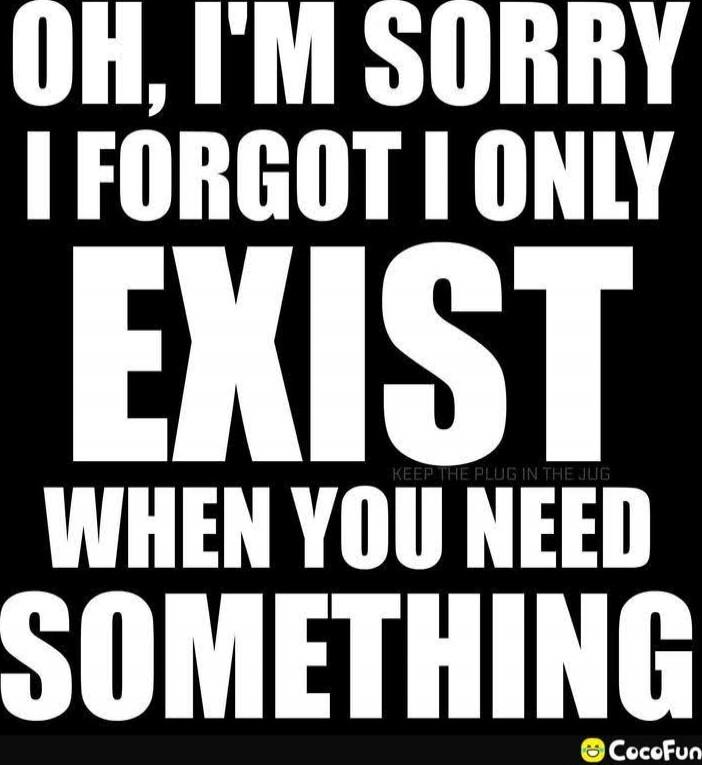 OH, I'M SORRY I FORGOT I ONLY EXIST WHEN YOU NEED SOMETHING