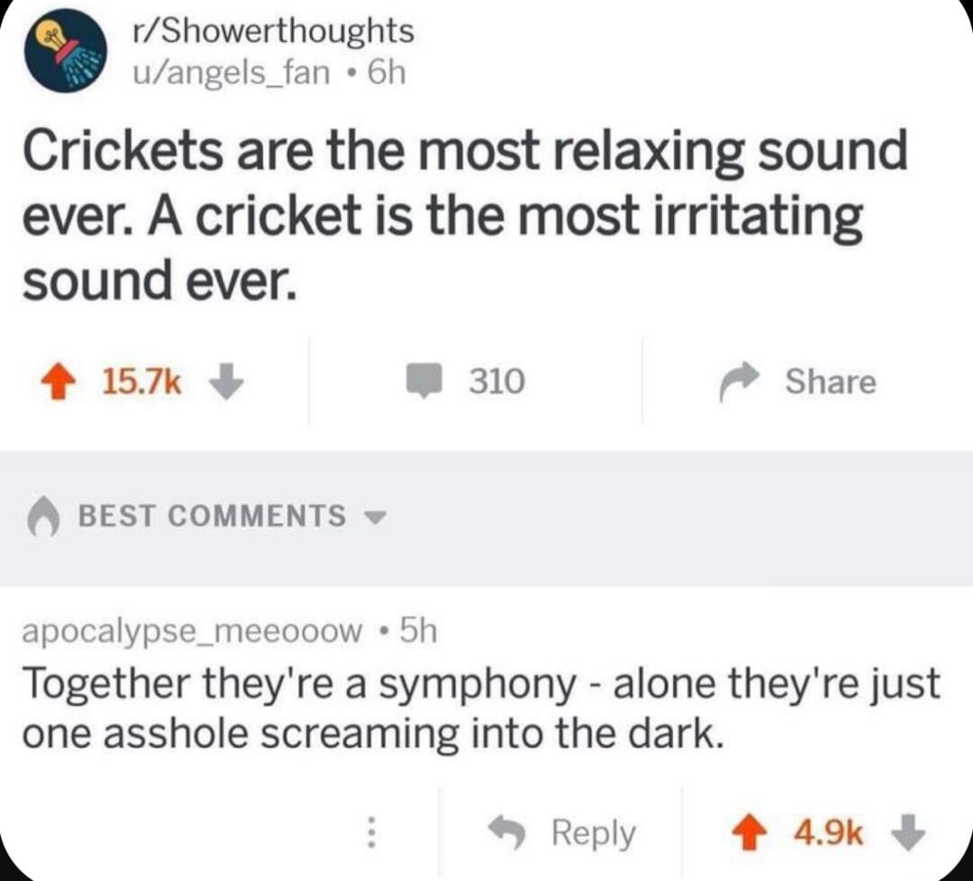 rShowerthoughts 3 uangels_fan 6h Crickets are the most relaxing sound ever A cricket is the most irritating sound ever 5 W 310 Share BEST COMMENTS v apocalypse_meeooow 5h Together theyre a symphony alone theyre just one asshole screaming into the dark 9 H Reply 4 49 1