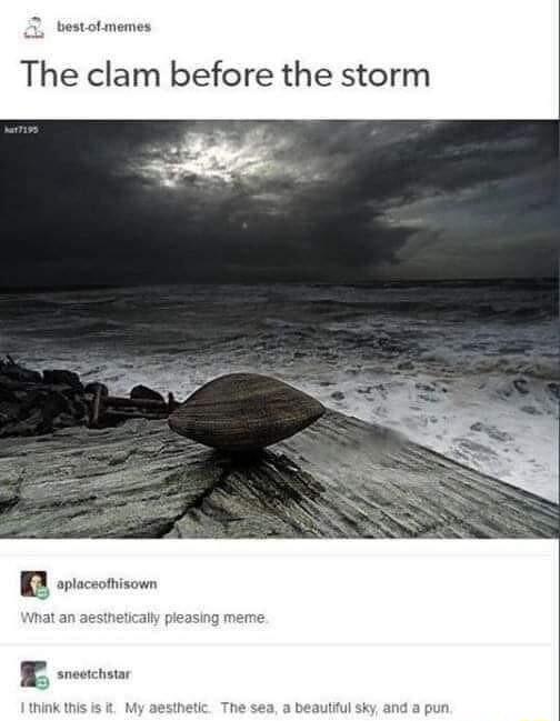 2 bestotmenes The clam before the storm