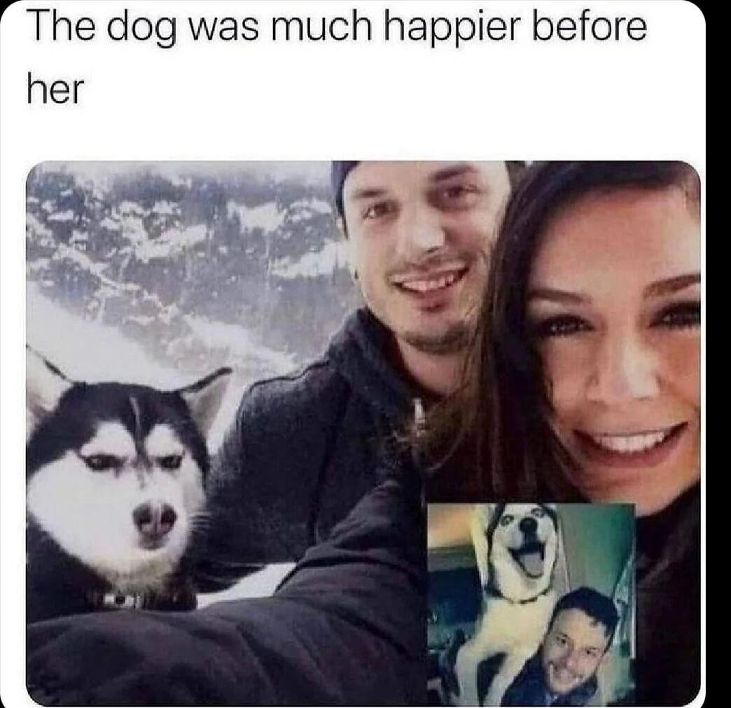 The dog was much happier before her