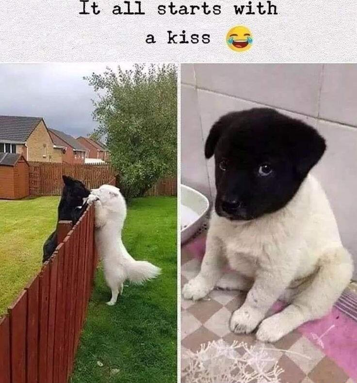1t all starts with a kiss